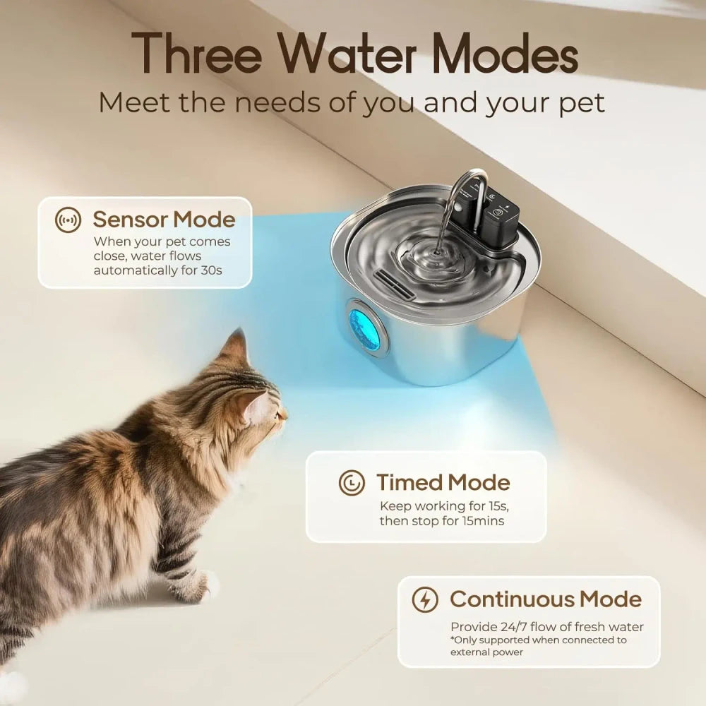 The Meowtix Fountain