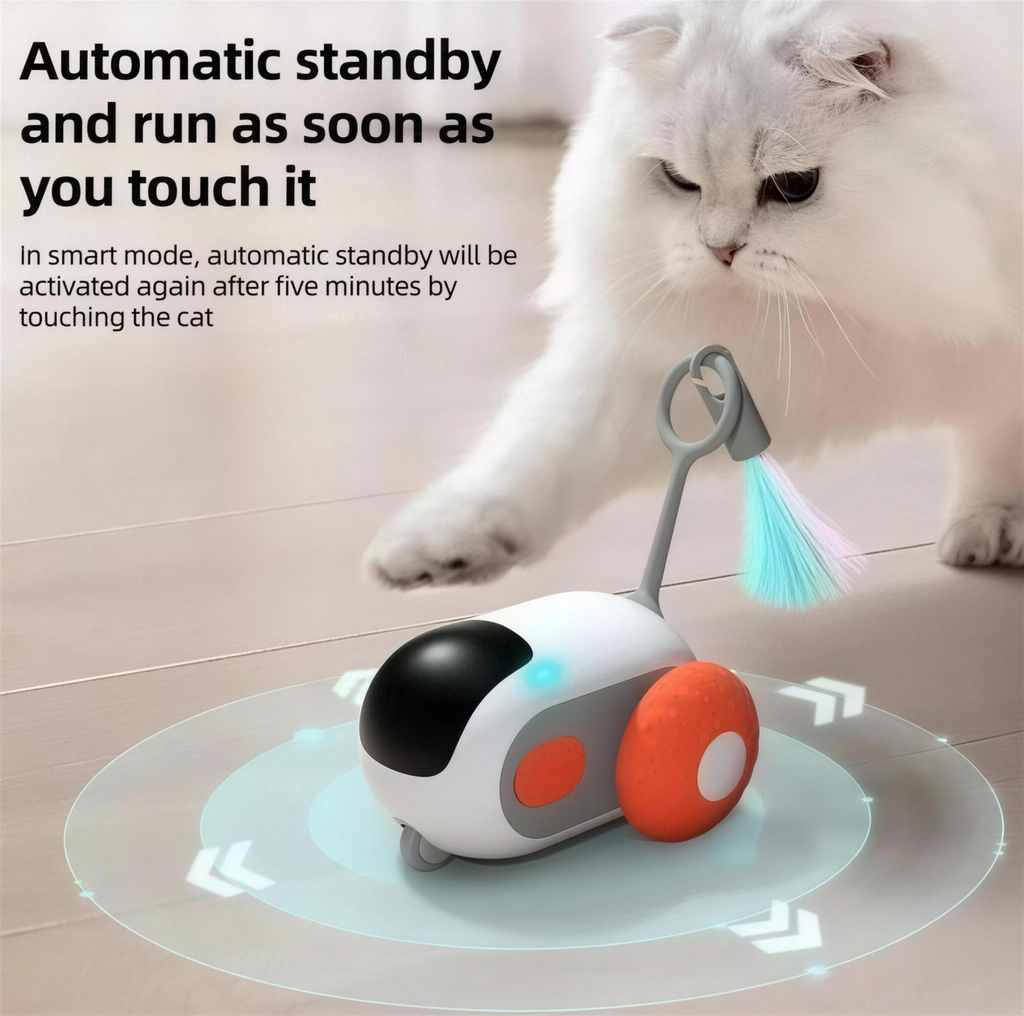 White cat reaching for the Meowtix RC car as it wakes from standby