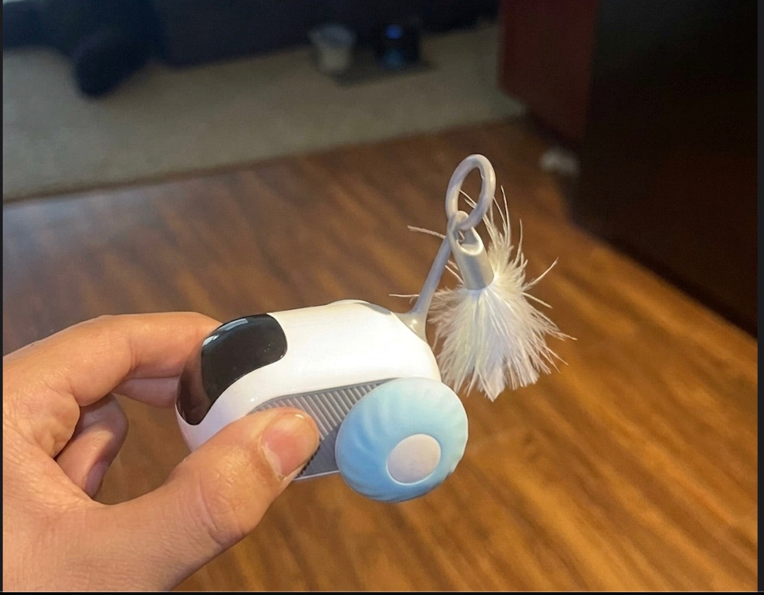 Customer holding the rechargeable Meowtix toy at home